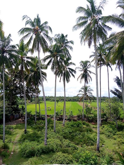 Photos of PT. Dunia Barusa Meulaboh