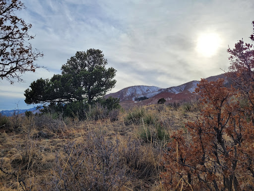 South Blodgett Open Space Parking - Thumbnail