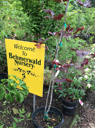 Behmerwald Nursery