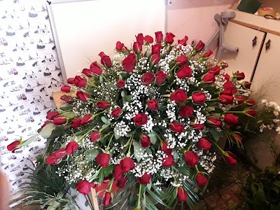 Photos of erden &ccedil;i&ccedil;ek&ccedil;ilik