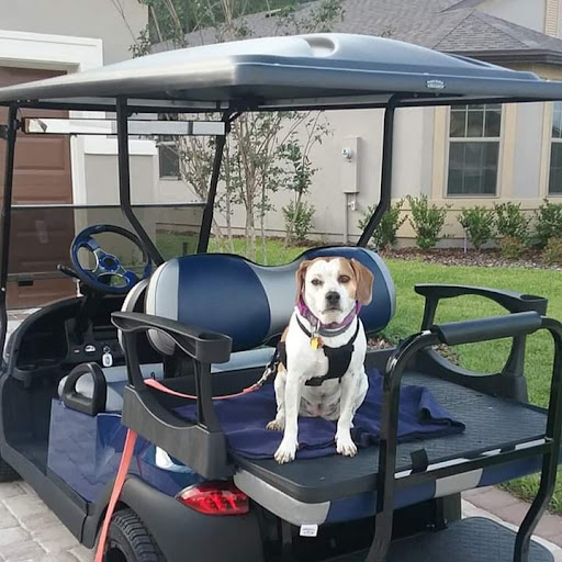 NEXTGEN CARTS - Visual