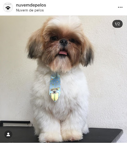 Nuvem de pelos
