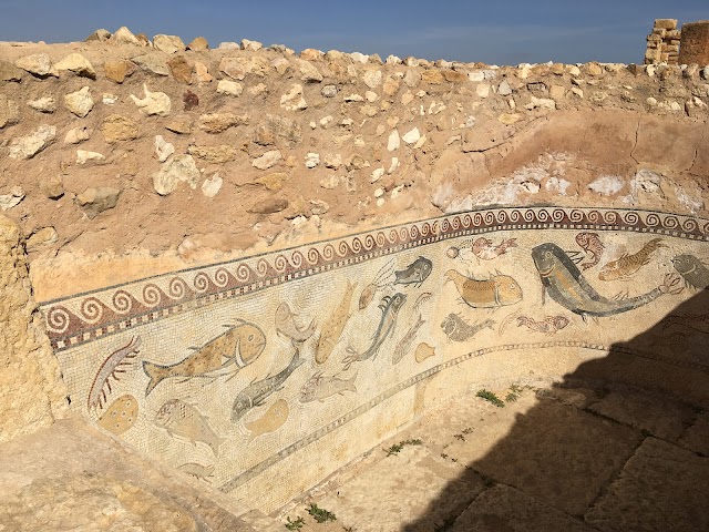 Roman Ruins Of Sufetula, Sbeitla
