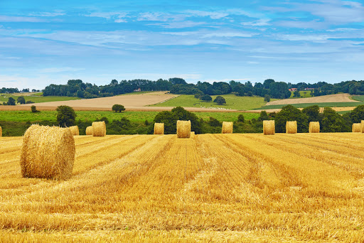 Photo de Le Village Du Matin Calme / Ehpad à Boën-sur-Lignon (42130)