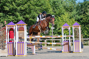 Photo n°1 de Les Ecuries du Domaine du Grand Air à Chartuzac (Écurie)