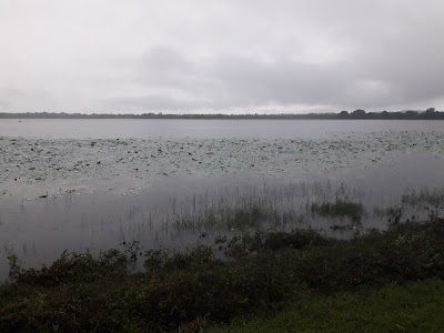 Photos of Mamaduwa Tank