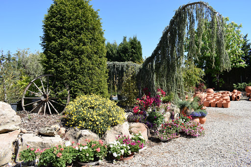 Jardineria Travé - Thumbnail