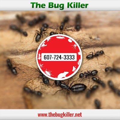 The Bug Killer