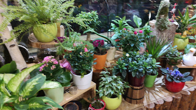 Магазин за цветя Top Flowers.com - София
