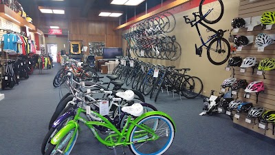 The Bike Shop