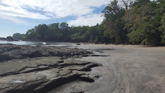 The Resort at Isla Palenque
