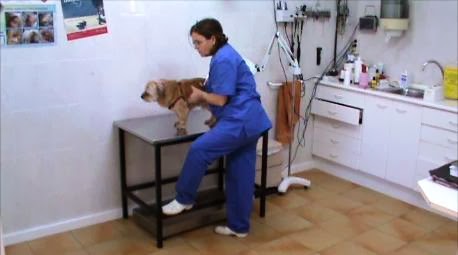 Unitat Veterinaria