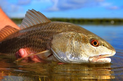 Photos of Miss Inclined Flats Fishing Charters