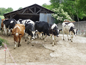 Photo n°40 de EARL Ferme Saint Thibault à Saint-Thibault-des-Vignes (Magasin de produits de la ferme)