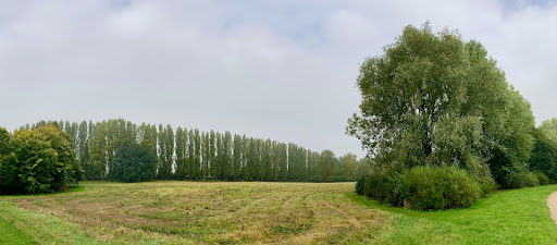 Waterhall Park Car Park - Thumbnail