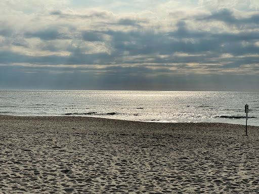 Dog beaches in Westerland - Thumbnail
