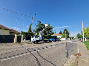 Photo n°7 de Modeste Elagage à Reyssouze (Entretien de propriétés)
