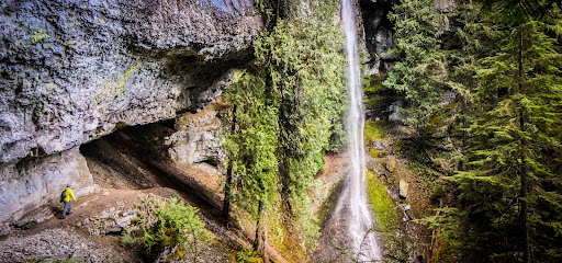 Discover Lewis County - Thumbnail