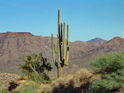 Cave Creek Ranger Station - Thumbnail