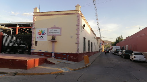 Escuela Primaria Pascual M. Hernández - Thumbnail