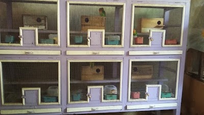 Photos of Brid Shop