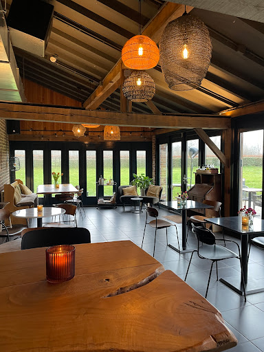 Restaurant Darwin - Visual