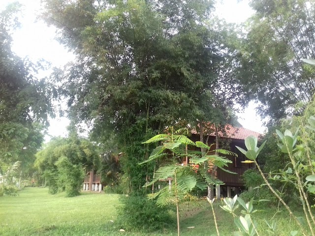 La folie lodge