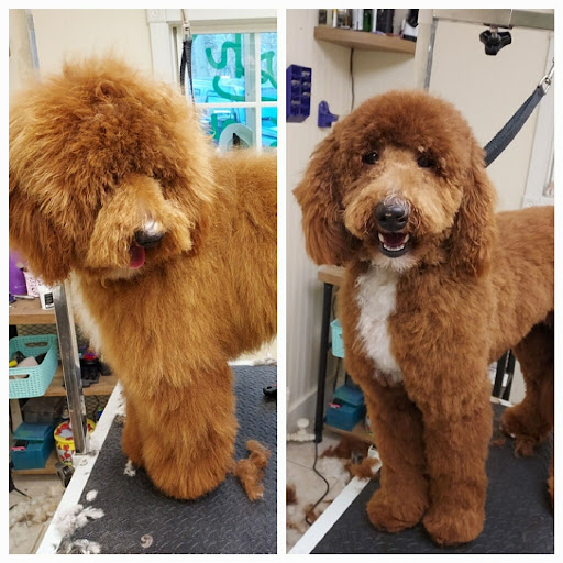 Irish Touch Pet Grooming - Thumbnail