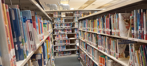 Rainbow City Public Library - Thumbnail