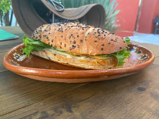 kactus Cafe - Visual