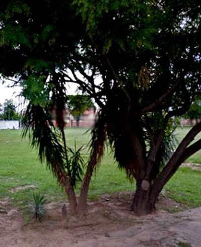 Photos of PABLO SENG Park