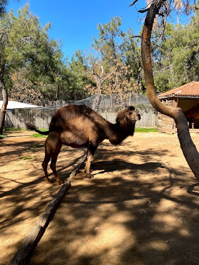 Antalya Zoo