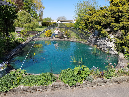 Marshmoor Park - Thumbnail