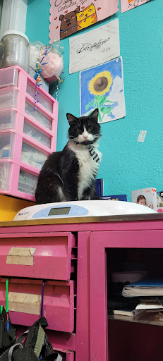 Villa Pet clínica veterinaria
