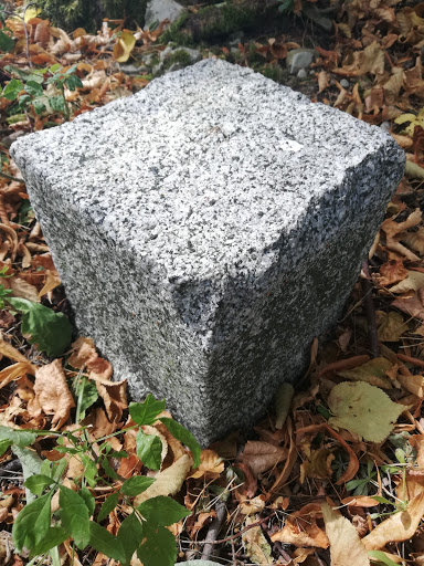 Rohrköppel - Visual