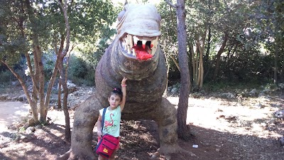 Photos of Sun City Resort