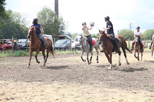Photo n°2 de centre équestre / Écuries ROCA à Beaumont-en-Véron (Centre équestre)