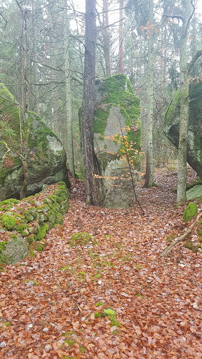 Fridlevstadsskogen - Visual