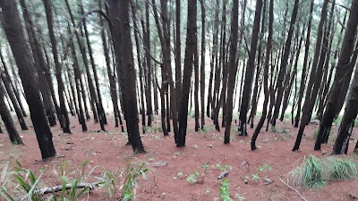 Photos of Kukulagala Mountain Range