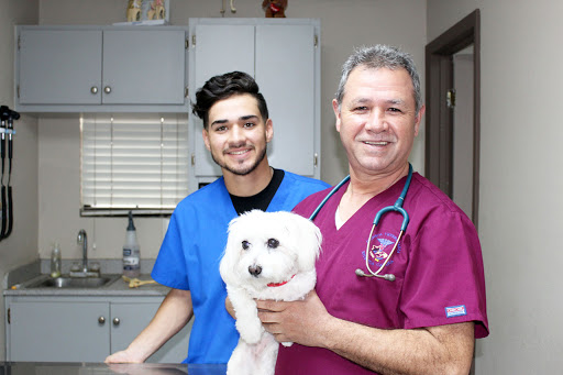 Clínica Veterinaria 2000