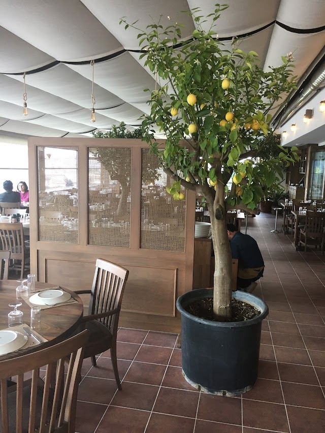 Cibalikapı Balıkçısı Batı Ataşehir