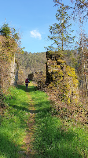Wanderparkplatz Traumschleife Rockenburger Urwaldpfad - Thumbnail