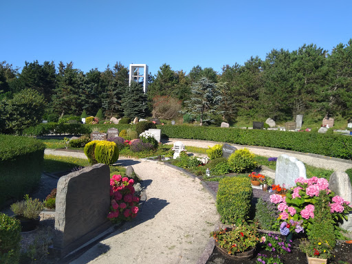 Friedhof Langeoog - Thumbnail