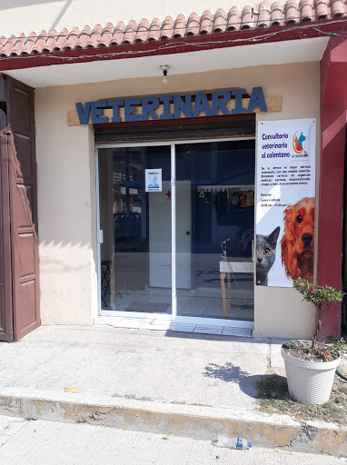 consultorio veterinario el calentano