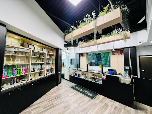 Cannabis House 34St - Thumbnail