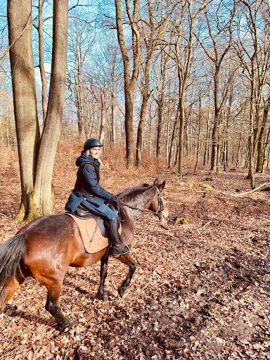 Soodehof Eins - Visual