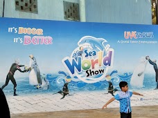 Dolphin Show karachi