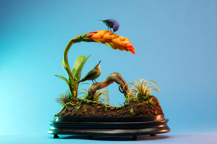 Prey Taxidermy by null