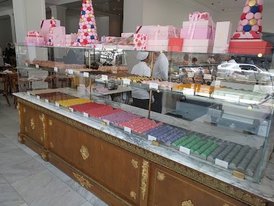 Photos of Bottega Louie