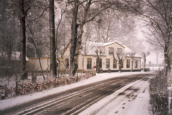 De Witte Gans by null